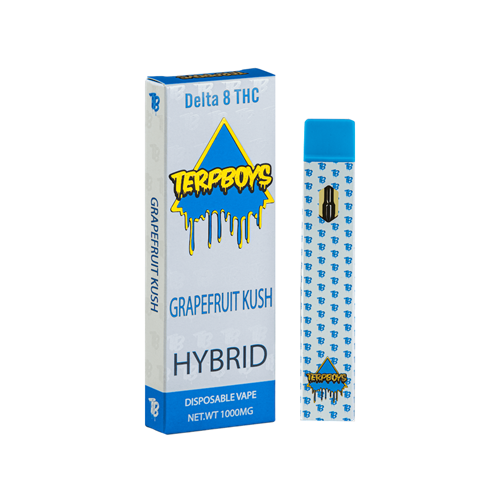 Terpboys Hybrid Delta 8 THC Disposable Vape Device - 1PC - ZOE COHEN