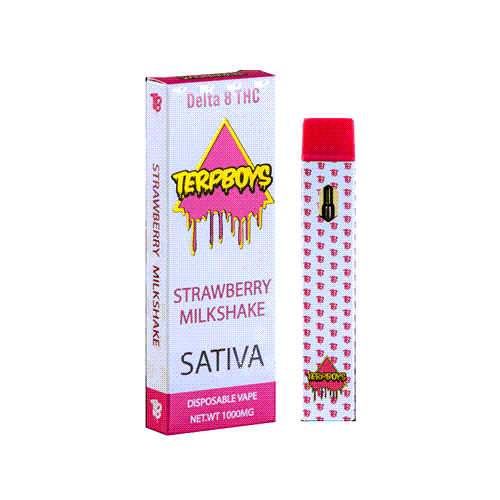 Terpboys Sativa Delta 8 THC Disposable Vape Device - 1PC - ZOE COHEN